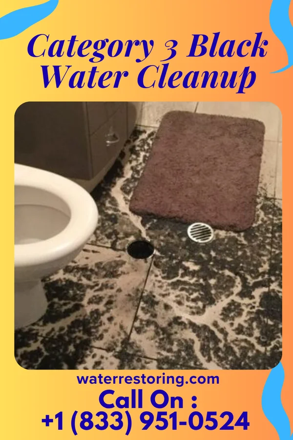Category 3 Black Water Cleanup in Warroad, MN