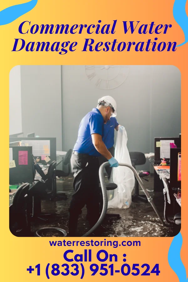 Commercial Water Damage Restoration in Warroad, MN