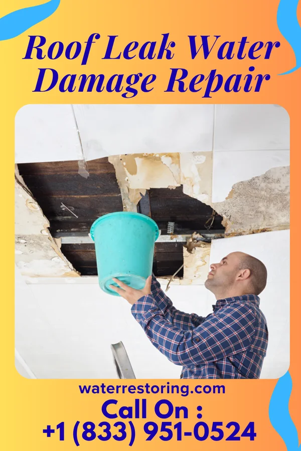Roof Leak Water Damage Repair in Warroad, MN